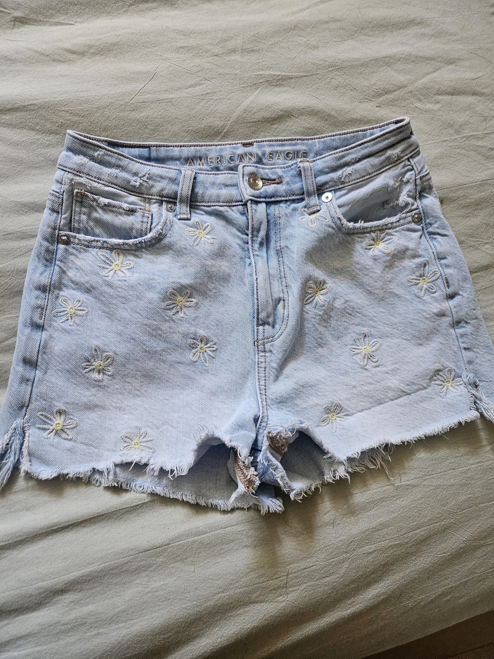 American Eagle Outfitters Light Blue Embroidered Daisy Denim Shorts